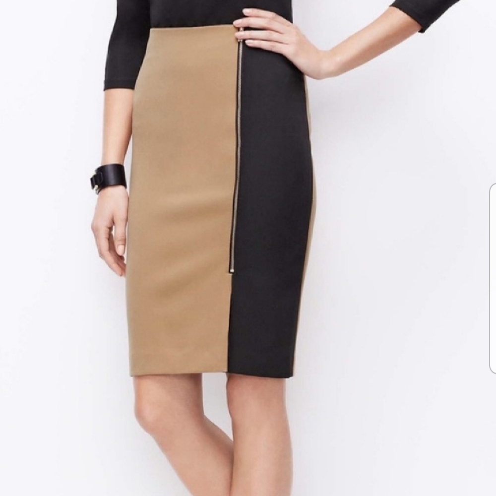 High Waisted Nude/Tan & Black Skirt Gold Zip